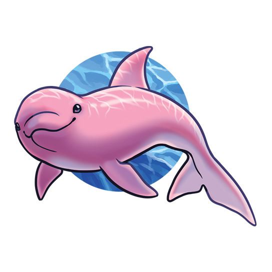 Pink Dolphin Design Water Transfer Temporary Tattoo(fake Tattoo) Stickers NO.13711