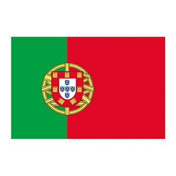 Portugal Flag Design Water Transfer Temporary Tattoo(fake Tattoo) Stickers NO.12755