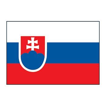 Slovakia Flag Design Water Transfer Temporary Tattoo(fake Tattoo) Stickers NO.12761