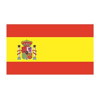 Spain Flag Design Water Transfer Temporary Tattoo(fake Tattoo) Stickers NO.12773