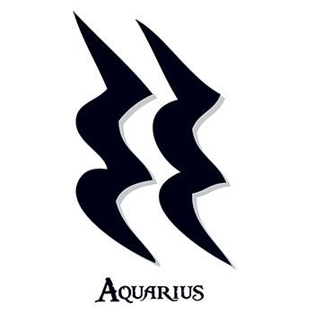 Zodiac: Aquarius Design Water Transfer Temporary Tattoo(fake Tattoo) Stickers NO.12240